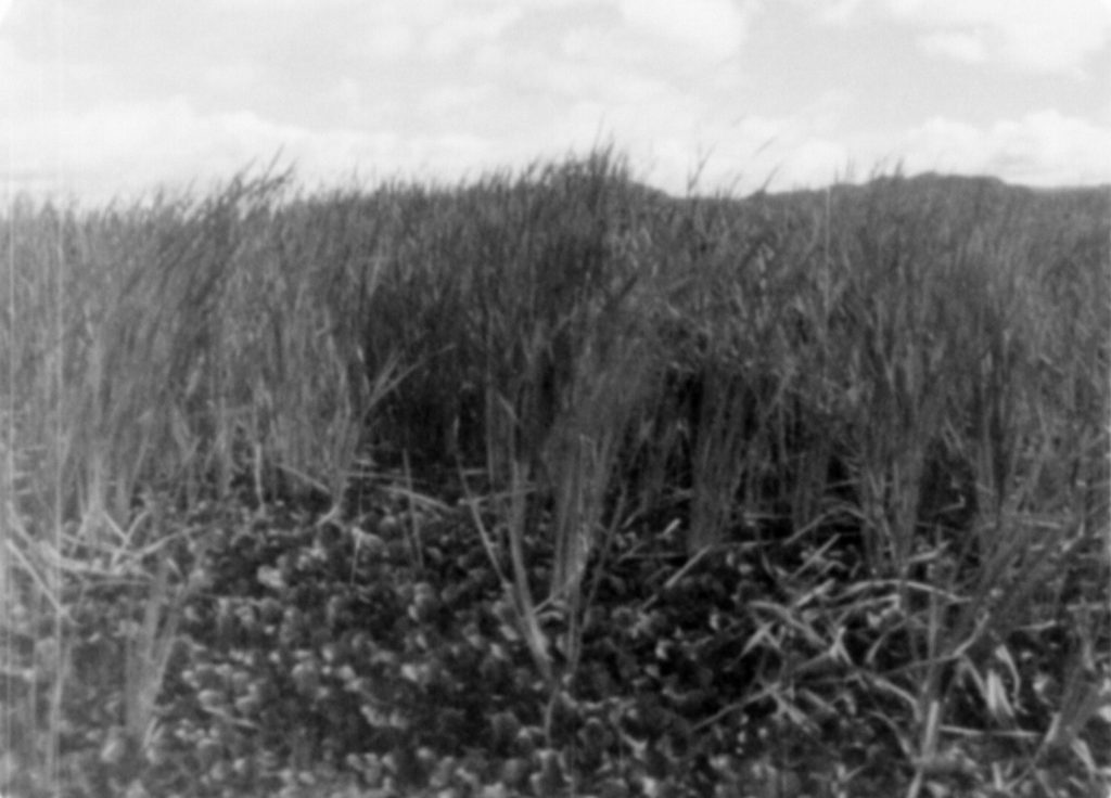 STARTED20170824_214749.20UTC