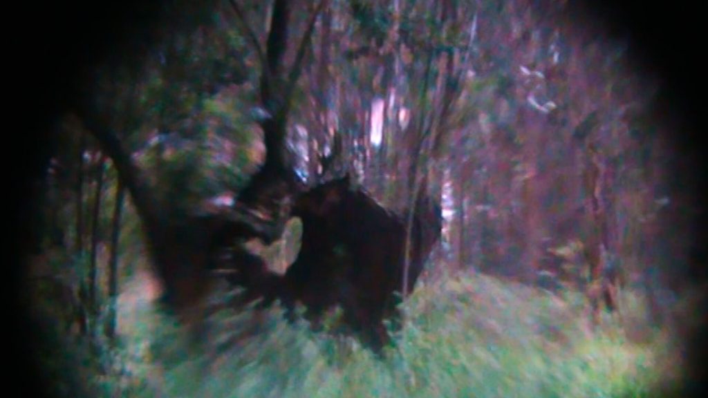 Photo 1 Stills_3_A_d__nde_van_los_p__jaros_cuando_llueve