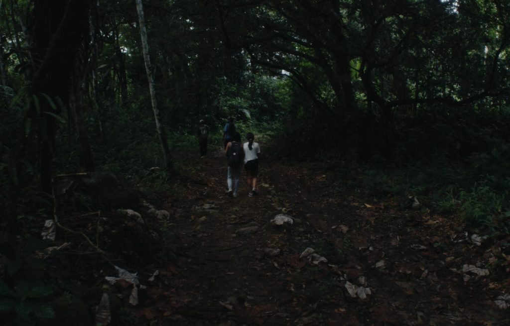 Photo 3 Captura_de_pantalla_2024-11-05_a_las_11.43.21_a.m.