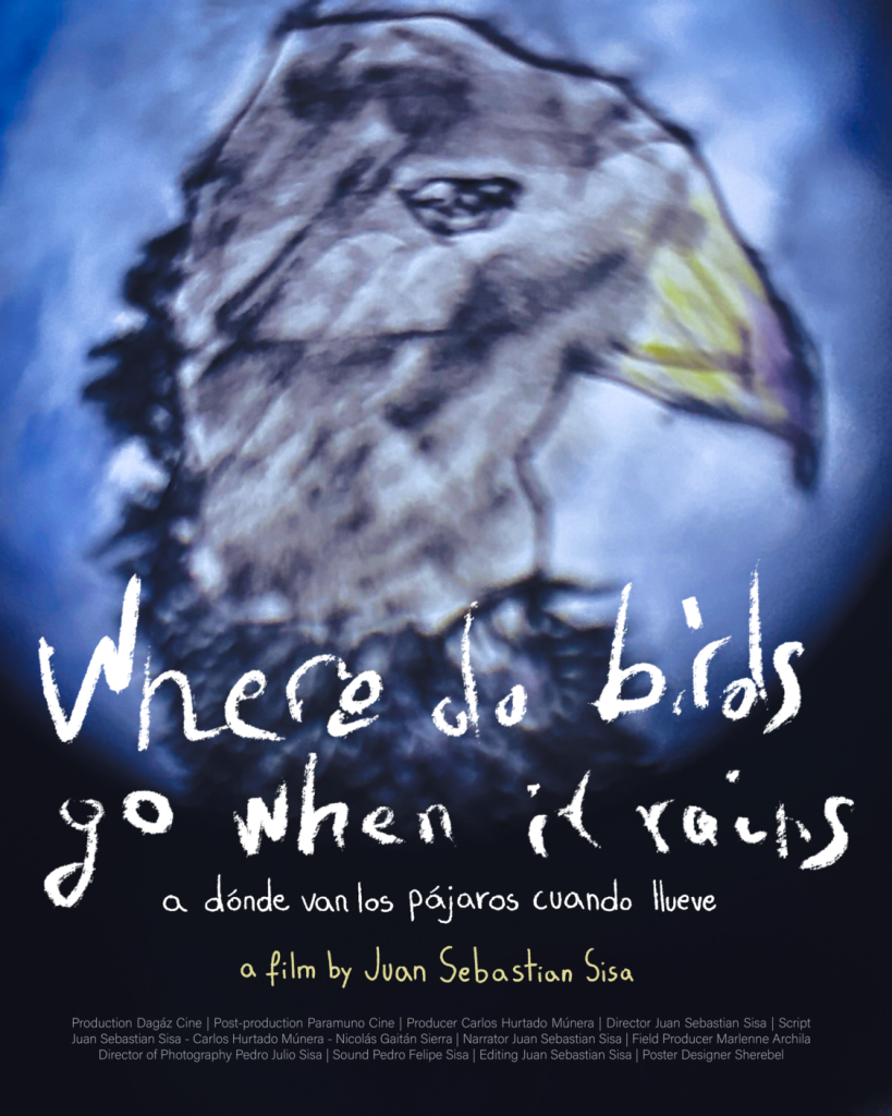 Póster_A_dónde_van_los_pájaros_cuando_llueve-01 (1)
